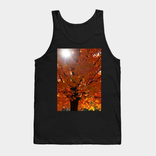 Vertical Autumn Orange Maple Tree Tank Top by 1Redbublppasswo